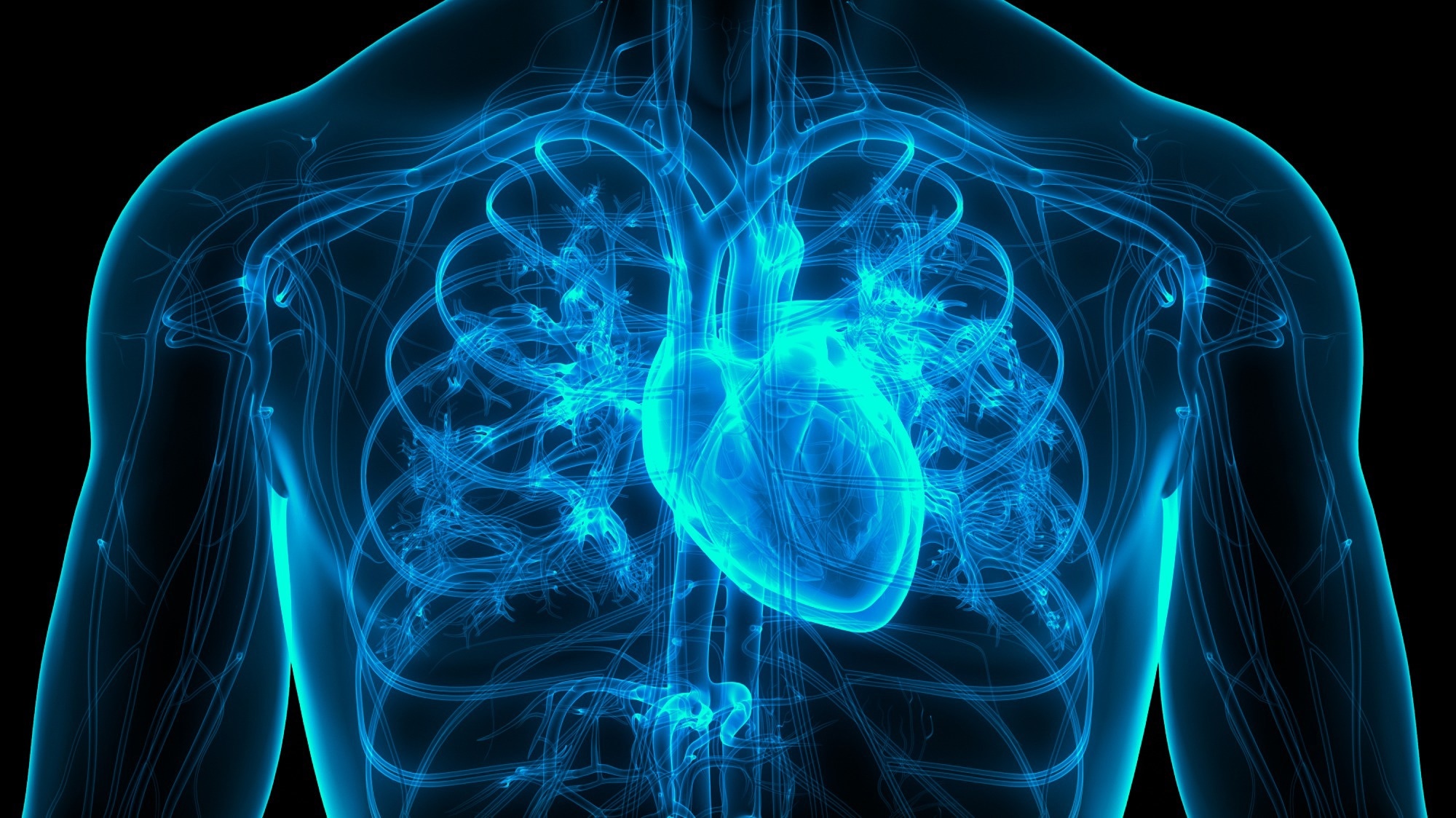 Study: Temporal trends in lifetime risks of atrial fibrillation and its complications between 2000 and 2022: Danish, nationwide, population based cohort study. Image Credit: Magic mine / Shutterstock