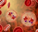 New monoclonal antibody vaccine slashes malaria risk in children