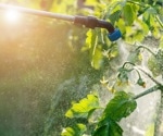 Study links agricultural pesticide exposure to increased genetic variants in Parkinson’s disease