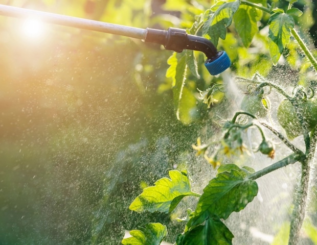 Study links agricultural pesticide exposure to increased genetic variants in Parkinson’s disease