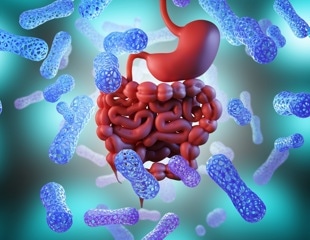 Gut microbiome study challenges established cancer biomarkers, identifies new bacterial links to colorectal cancer