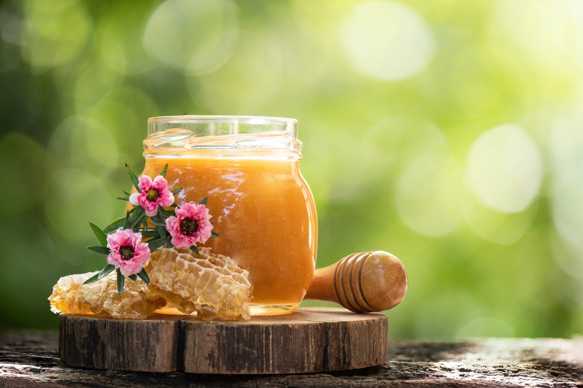 Study: Antibacterial activity of Hungarian varietal honeys against respiratory pathogens as a function of storage time. Image Credit: wasanajai / Shutterstock.com