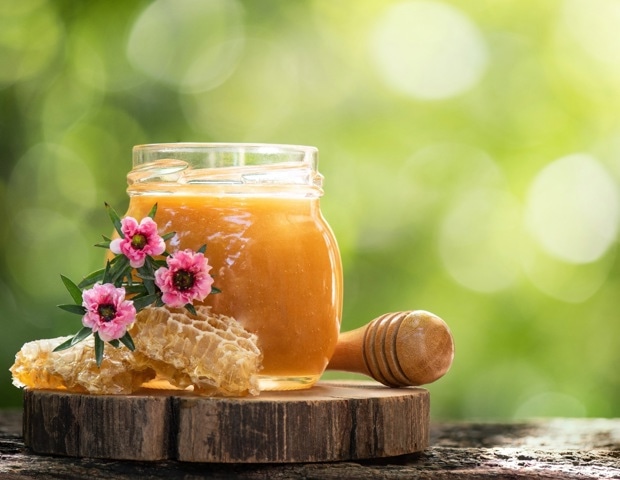 Freshness matters: Study finds newer honey packs a stronger antibacterial punch