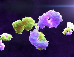 Novel bispecific antibodies show promise against evolving SARS-CoV-2 variants