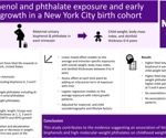 Prenatal exposure to bisphenol and phthalate linked to increased child obesity, study finds