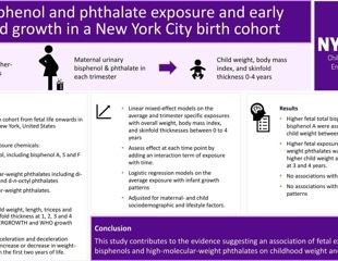 Prenatal exposure to bisphenol and phthalate linked to increased child obesity, study finds