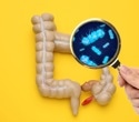 Milk boosts gut-friendly bacteria while cheese alters microbiome balance, study reveals