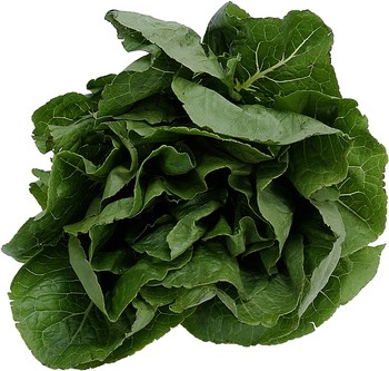 Spinach is valued as a vegetable for the high vitamin and iron content of its leaves