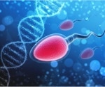DHA plays an essential role in creating healthy sperm