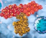 Artificial antibody delivers nanoparticles to tumors