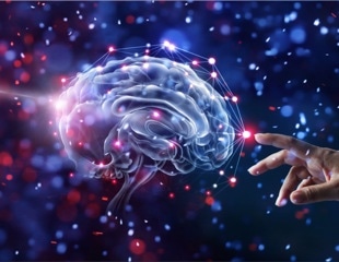 Innovative 'mini-brains' could revolutionize Alzheimer's diagnosis and treatment