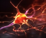 New model helps to better understand how Alzheimer's disease progresses in the brain