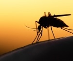 Researchers examine new genes to control mosquito-borne diseases
