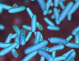 Scientists unlock mystery behind a deadly strain of cholera bacteria