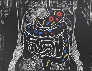 Exploring microbiome dynamics in esophageal cancer