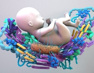 Maternal transfer of healthier gut bacteria helps neonates to resist biliary atresia