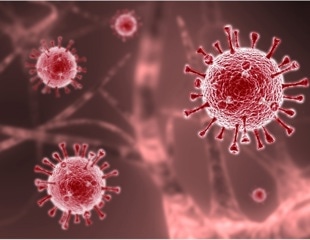 New model can simulate and analyze large number of viral infections