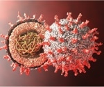 Study: SARS-CoV-2 virus adopts new strategy to ensure its replication, spread