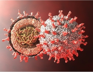 Genetic analysis suggests the sudden emergence of threatening viruses