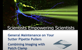 Webinar: Puller maintenance and imaging with patch clamp