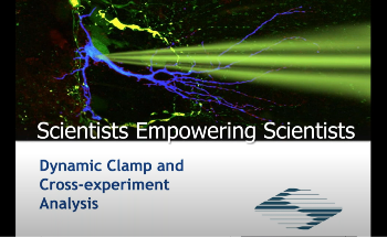 Webinar:  Dynamic clamp and cross-experiment analysis