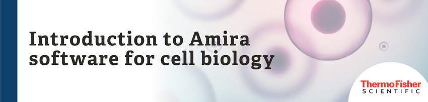 Introduction to Amira software for cell biology