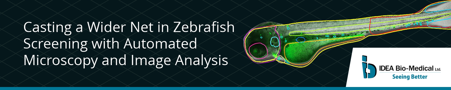Casting a Wider Net in Zebrafish Screening with Automated Microscopy and Image Analysis