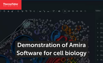 Demonstration of Amira Software for cell biology