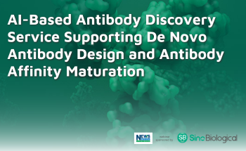 AI-Based Antibody Discovery Service Supporting De Novo Antibody Design and Antibody Affinity Maturation