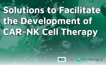 Solutions to facilitate the development of CAR-NK cell therapy