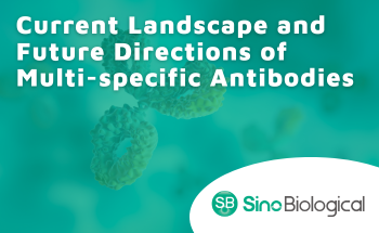 Current landscape and future directions of multi-specific antibodies