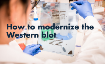 How to modernize the Western blot