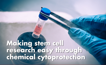 Making stem cell research easy through chemical cytoprotection